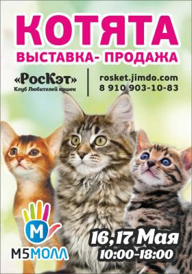 Рязанцев приглашают на выставку кошек
